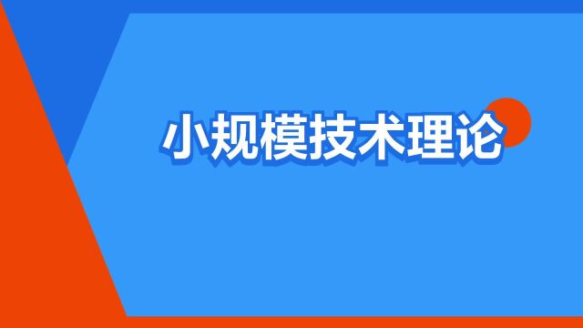 “小规模技术理论”是什么意思?