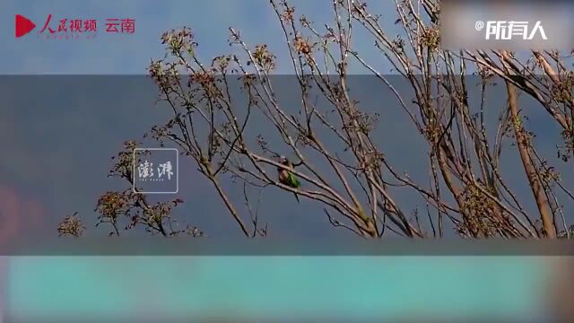 【鸿雁知天下】提醒!8日我市大部地区有小雪