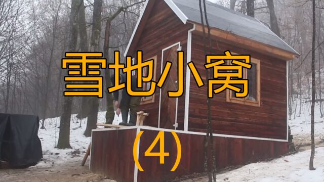 荒野求生.雪地求生