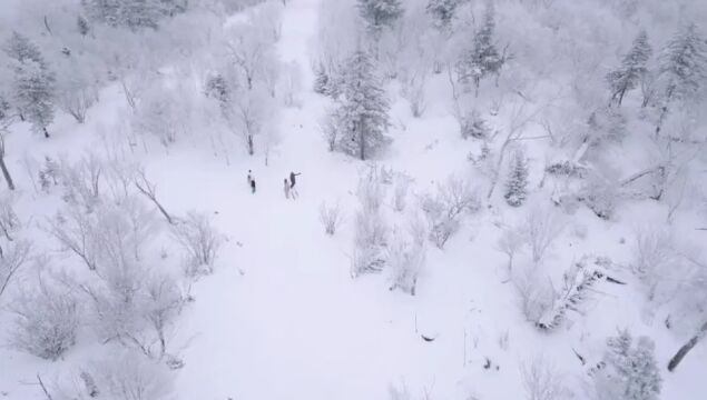 北大湖滑雪度假区现高山雾凇盛况 宛若“仙境”!