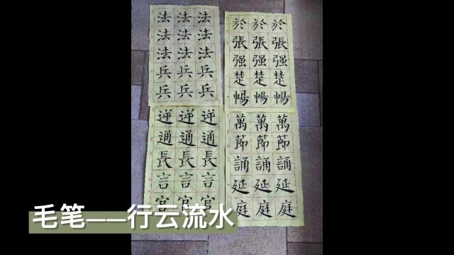 地环学院经纬通讯社14天打卡之兴趣特长类