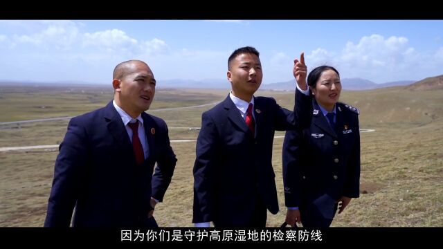 【世界湿地日】若尔盖湿地的诗与远方