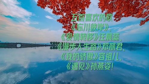 好听的歌（二）高品质无损音乐剪辑