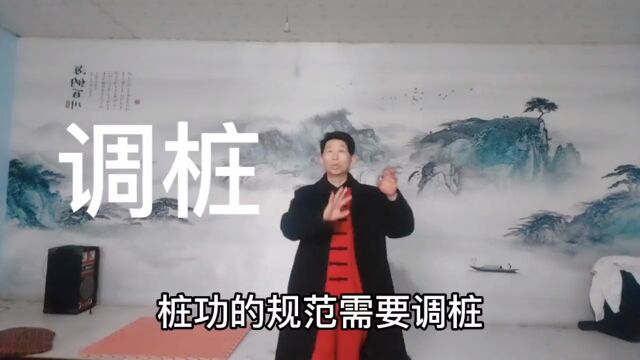 张恩平谈调桩