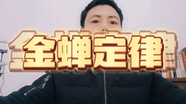 金蝉定律忍受各种寂寞和孤独