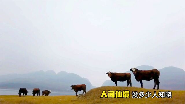 高原三峡,贵州特有的风景,来了夜郎湖才知道什么是世外桃源