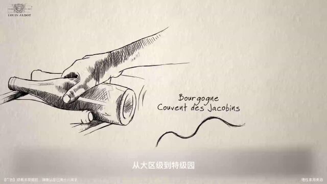 Louis Jadot Video (中文字幕)