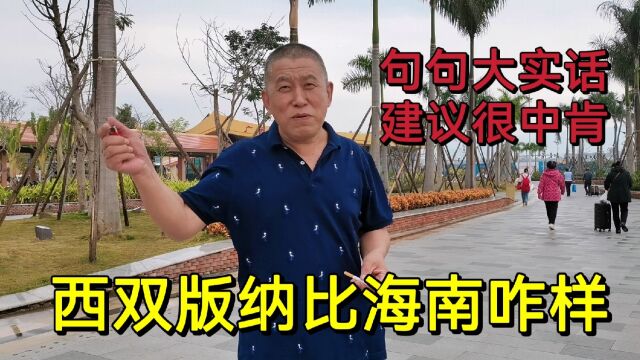 为何不愿去海南?听听一位东北人在西双版纳旅居过冬的真实感受