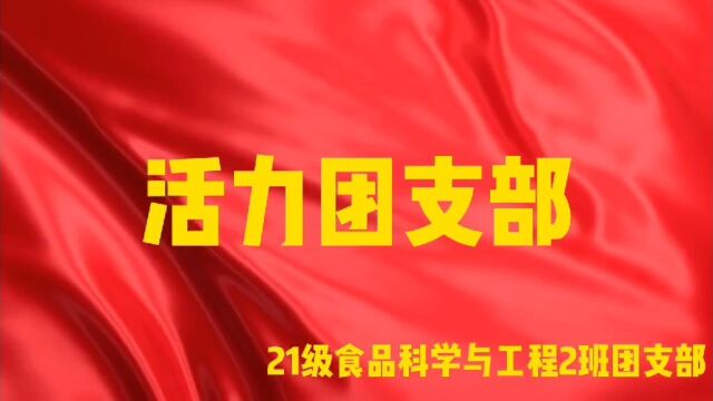 21级食品科学与工程2班活力团支部申报新媒体作品