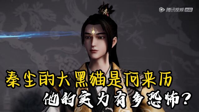 《武神主宰》:秦尘的大黑猫是什么来历,他的实力有多恐怖?