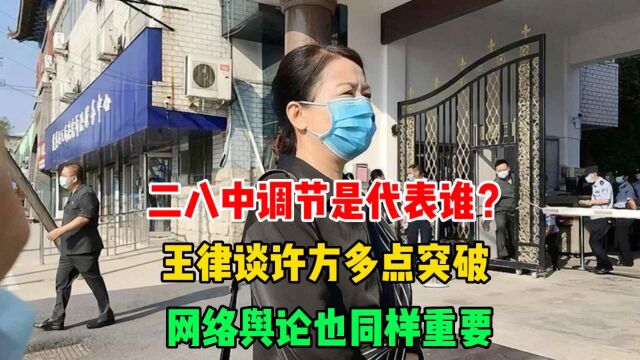 二八中调节的是代表谁?王律谈许方多点突破,网络舆论也同样重要