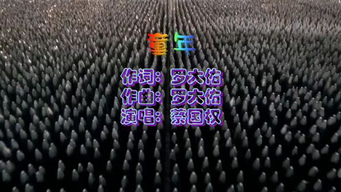 蔡国权-童年