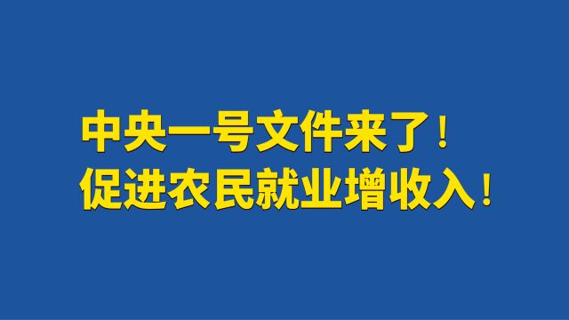 中央一号文件来了!促进农民就业增收入!