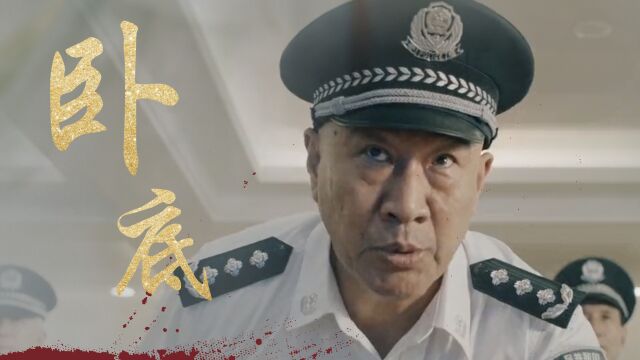 《猎黑行动》樊少皇曹云金领衔主演,犯罪悬疑电影惊险来袭