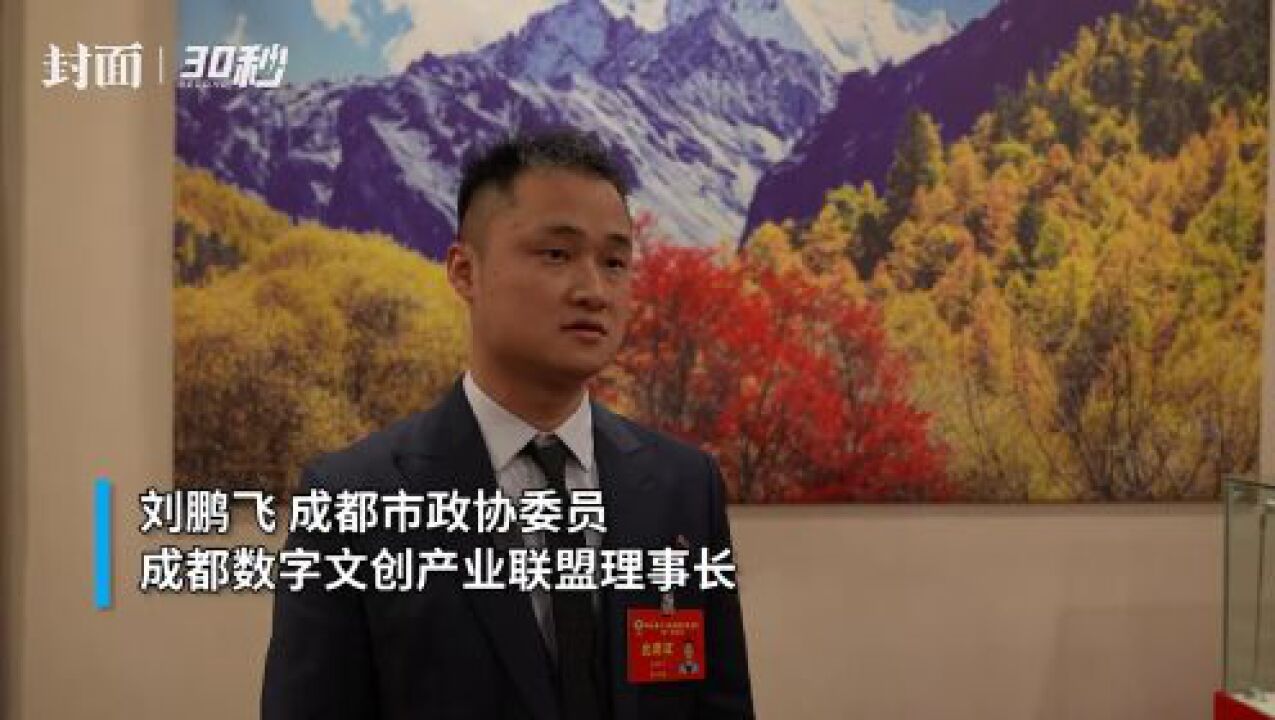 30秒|成都市政协委员刘鹏飞：建议建立数字文创多元化社区聚集地_高清1080P在线观看平台_腾讯视频