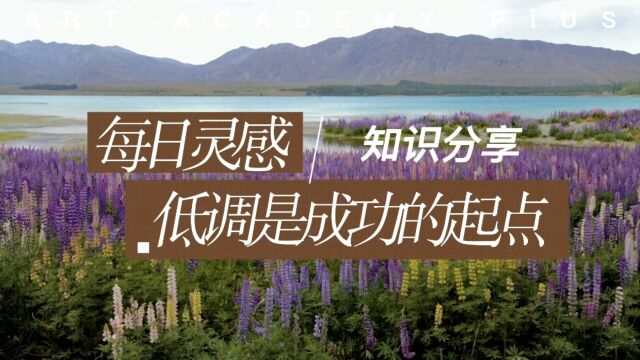 正所谓地低为海,人低为王,万丈高楼平地起,低调就是成功的起点