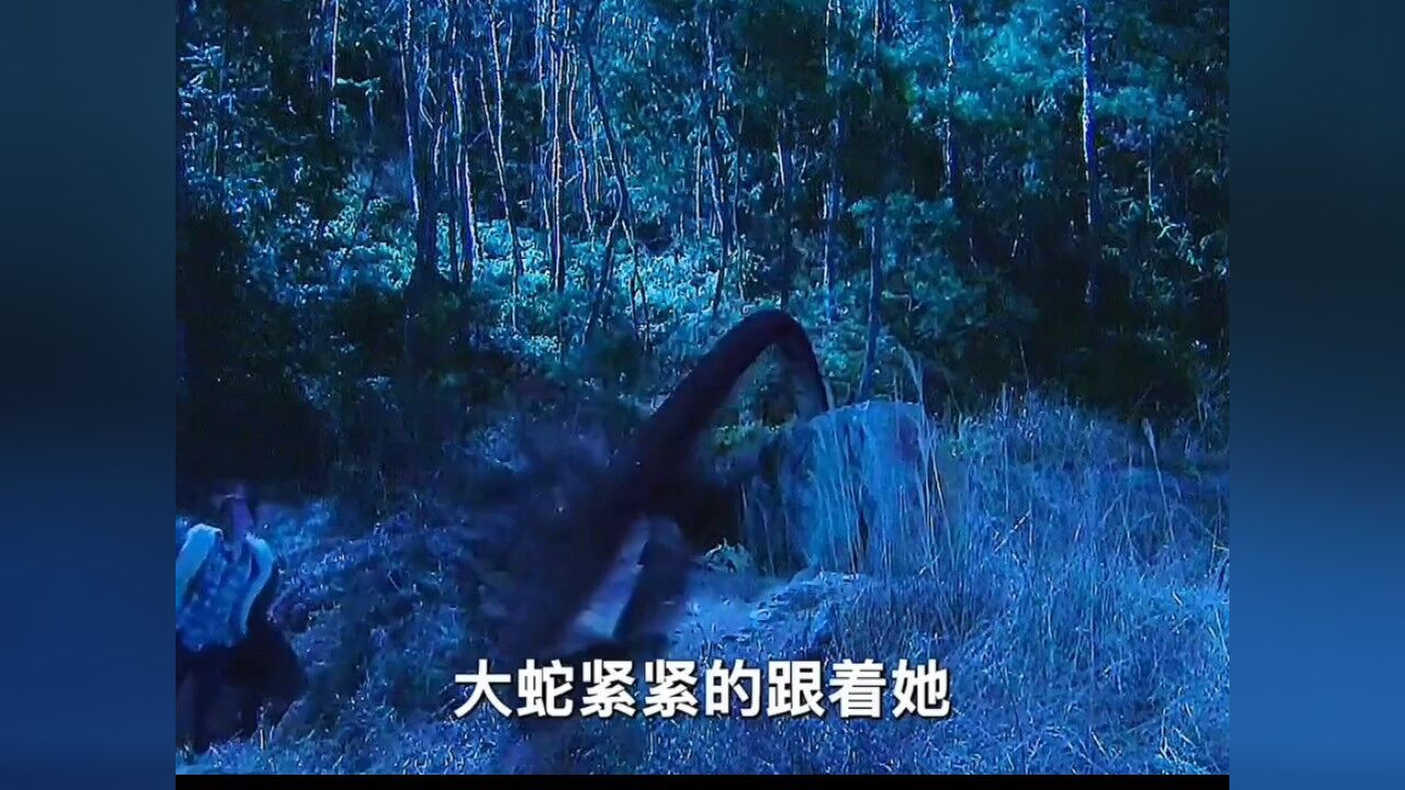 丁瑶打碎镇妖瓶#女娲传说之灵珠_腾讯视频