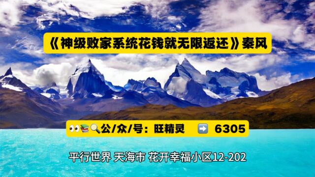 高分小说《神级败家系统花钱就无限返还》秦风全文阅读◇无删减