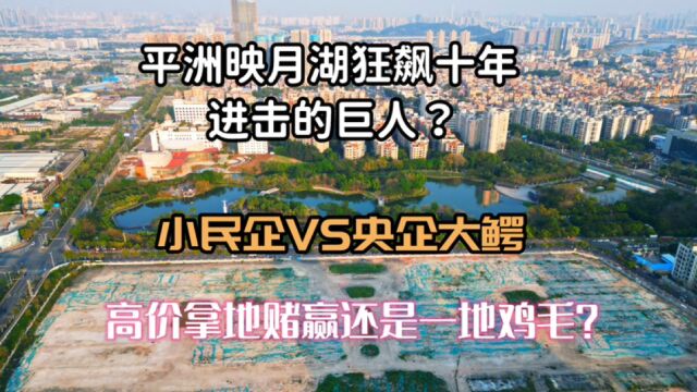 佛山楼市:桂城平洲映月湖一地块竟然被小开发商高价夺得,由此引发的思考,背后这些信息值得注意.