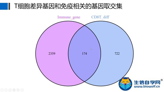 生信自学网课程试学T细胞文章套路视频(单细胞测序联合TCGA数据库)