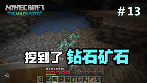 我的世界1.19多人生存13:挖到钻石矿!直接致富了_高清1080P在线观看平台_腾讯视频