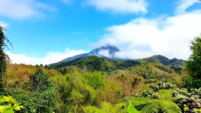 不到五指山,不算到海南