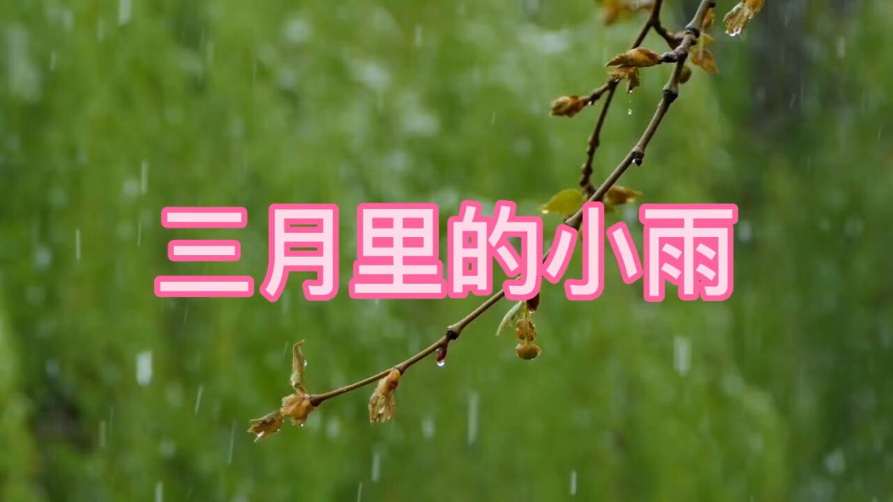 三月里的小雨