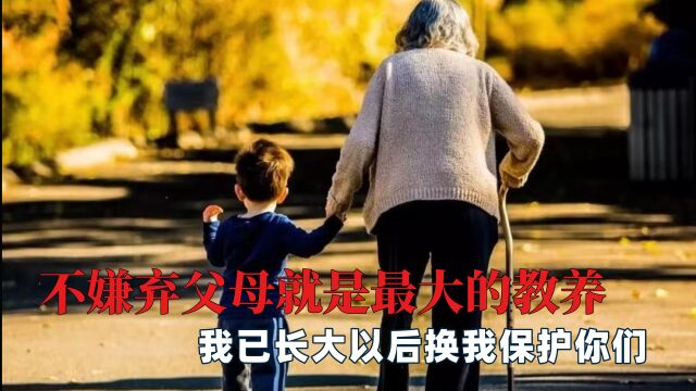 不嫌弃父母就是最大的教养:百善孝为先我已长大以后换我保护你们