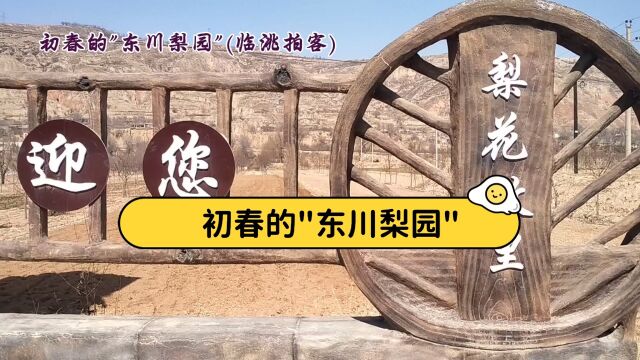 临洮县龙门镇“东川梨园\