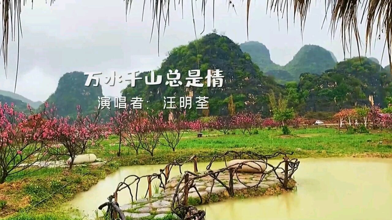 汪明荃《万水千山总是情》经典好听,前奏响起,勾起了多少的回忆