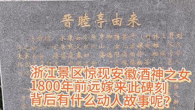 武义景区发现1800年前安徽濉溪女儿1800里路远嫁浙江武义碑刻 #摩崖石刻 #大好河山一起打卡