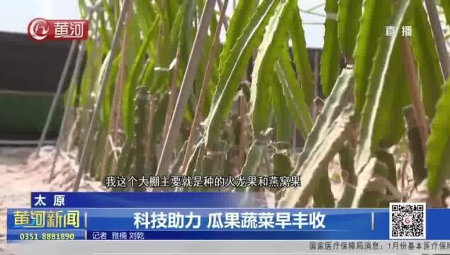 山西太原:科技助力 瓜果蔬菜早丰收