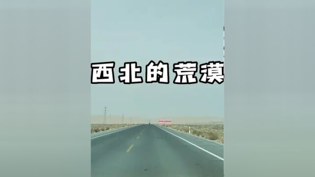 西北深处的荒漠种不出代表爱情的玫瑰 凛冽的风沙所过之处寸草难生 就像我们南北的爱情 坎坎坷坷,永无休止 就像我不会表达爱意