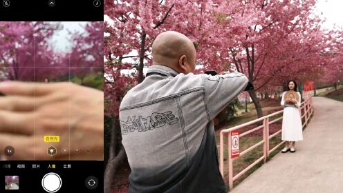 人多的樱花树下拍美照，简单的取景思路和好用的动作分享给你