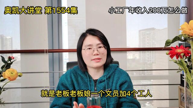 1554 小工厂年收入200万怎么做