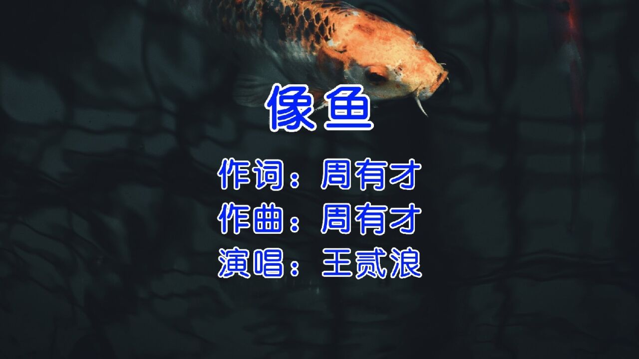 火爆全网的一首慢歌,王贰浪《像鱼》,别不承认你也在单曲循环.