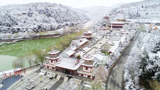 这场“三月雪”,定格了宝鸡不一样的春天