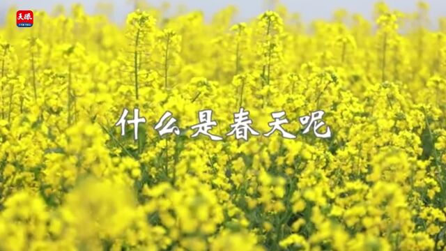 多彩贵州ⷨŠ𑦼𞤸�𝠼 大方牛场乡:徜徉油菜花海 尽享春光之美