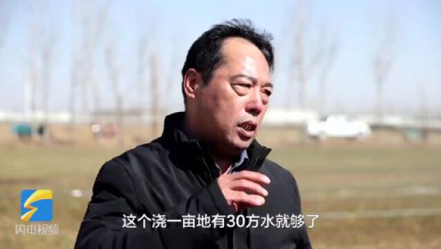 人勤春来早 | 庆云县:高效节水喷灌模式 助力春季农业生产