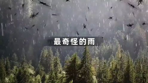 你知道世界最奇怪的雨是什么样的吗？