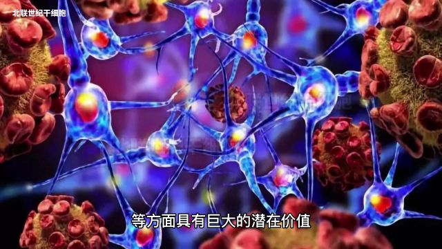 什么是iPS细胞?iPS细胞的优势?真能培养出精子卵子吗?