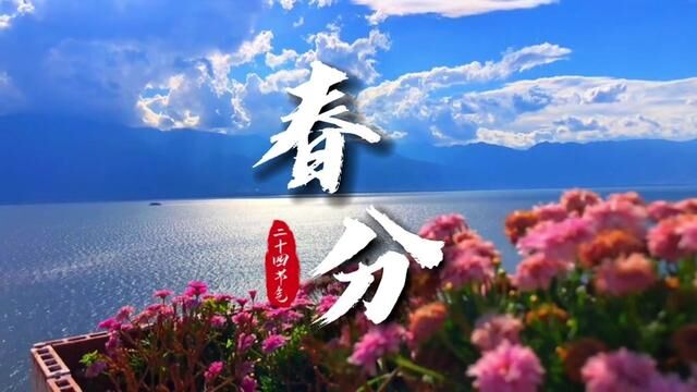 春分三候:玄鸟至,雷乃发声,始电!#春分 #二十四节气 #传统文化 (供稿:刘立新 制作:蔡明硕)