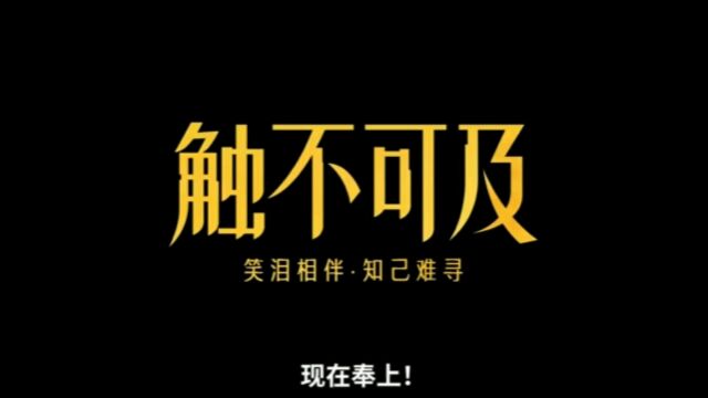 经典高分佳作,美版《触不可及》一