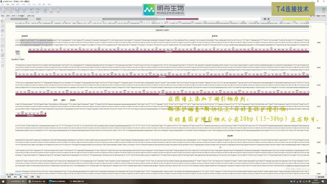 DNA重组技术