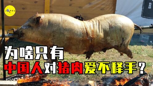 每年吃掉7亿头猪,猪肉这种大众美食,为何只有中国人爱不释手?_高清1080P在线观看平台_腾讯视频