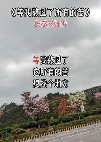得挺,心里藏着疲惫和委屈,还要在尽力的讨好生活#等我熬过了所有的苦