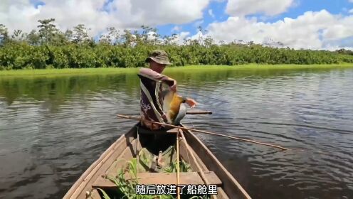 渔民把鱼钓上来,就用棒槌伺候,国内上千一条的银龙鱼也是开胃菜#抓鱼#户外捕鱼#捕鱼达人#渔民生活实拍#钓鱼_高清1080P在线观看平台_腾讯视频