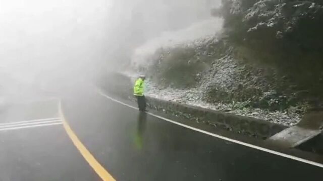 (多图+视频)兴文下大雪啦!这一次太壮观!!