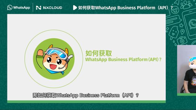 如何获取WhatsApp Business Platform(API)?