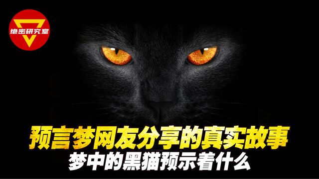 预言梦 网友分享的真实故事 梦中的黑猫预示着什么